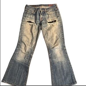 Citizens of Humanity Low Waist Flair Jeans